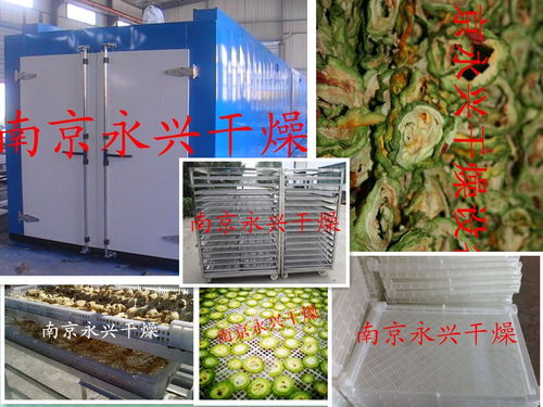 專業(yè)設(shè)計服務(wù) 從構(gòu)想到實現(xiàn)的卓越旅程